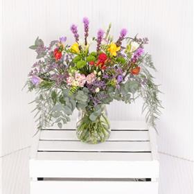 fwthumbFreesia Favourite.jpg